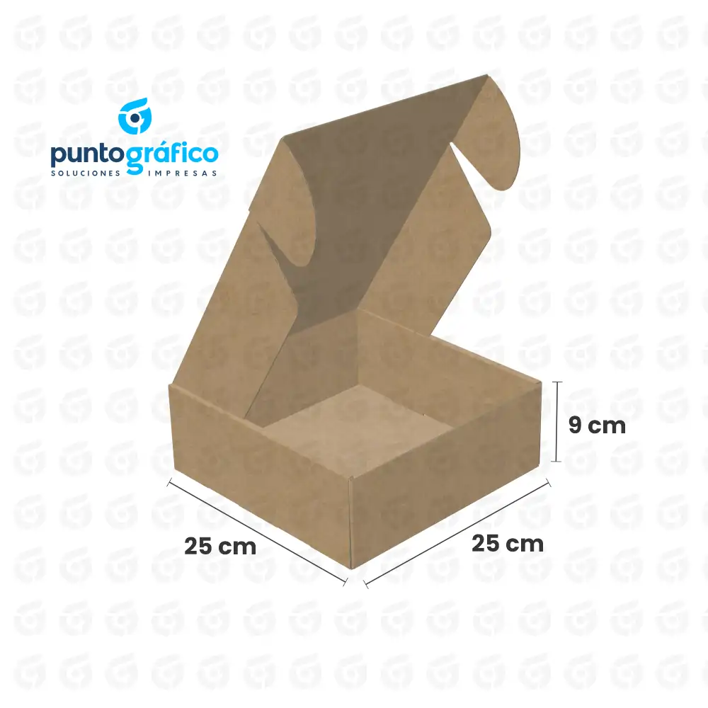 Caja de envio_25x25x9 Cajas Envío 25 x 25 x 9 cm