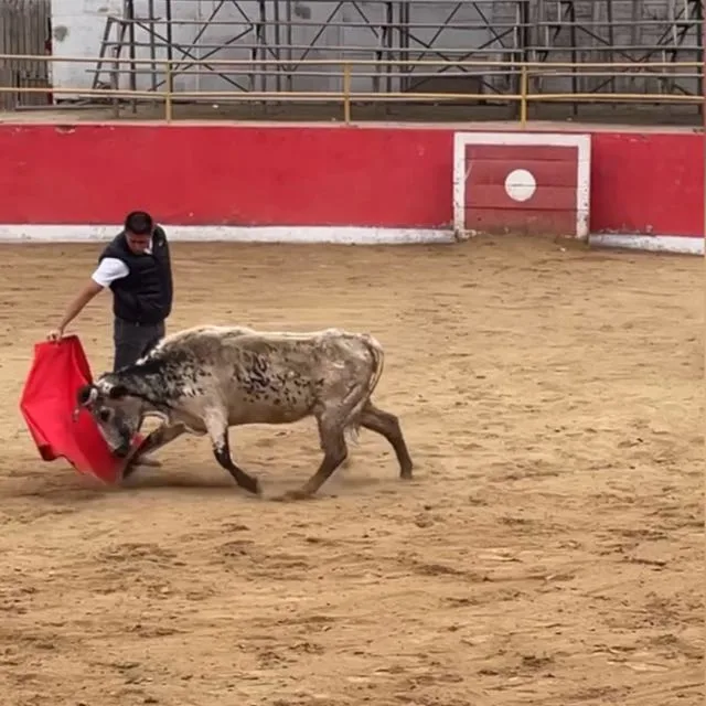 Miguel Neyra asoc taurina